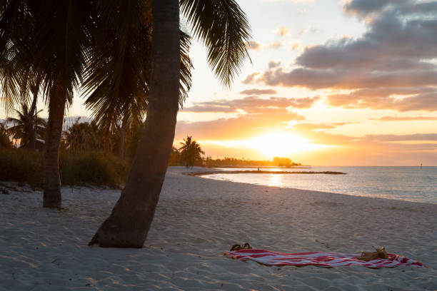 istock Smathers  Beach with Palm Trees and Beach Towel 2159243024
