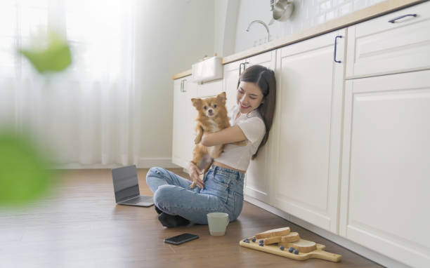 istock Asian beautiful lady woman work with notebook sit down kitchen floor at home, technology woman concept for alternative office freelance Young happy Asian woman using laptop on lap play with pet dog 2159245644
