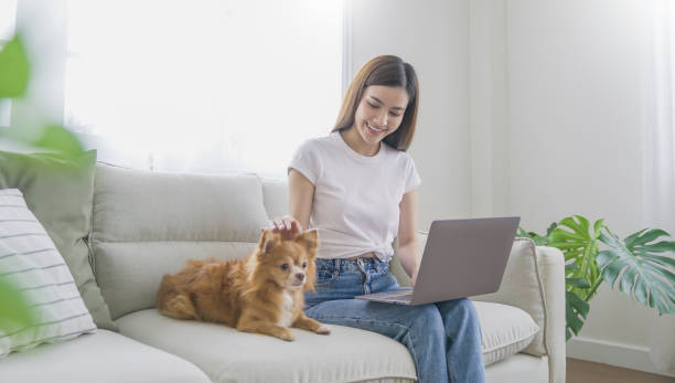 istock Asian beautiful lady with bwork at the notebook sit down on the sofa at home, technology woman concept for alternative office freelance Young happy Asian woman using laptop on her lap with pet dog 2159245649