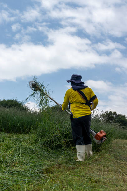 Back view of an unrecognizable Latino man cleaning grass stuck in the blade of a weed cutter while cutting grass on a hillside in the Andes mountains.