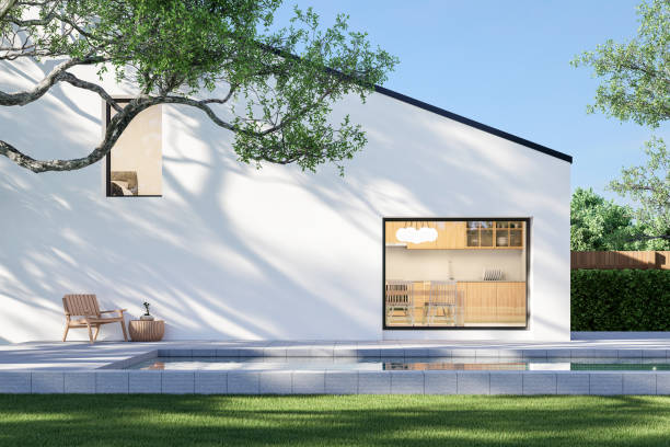 Modern style white house with swimming pool terrace 3d render the trees shadow on the house wall with clean green lawn with large branches in the foreground and nature background.