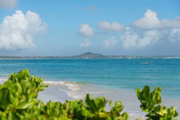 A blurred image depicts a beach with a distant small island. It shows water, sky, azure natural landscape, vegetation on coastal landforms
