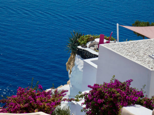 Santorini island, Greece. Flower on the terrace with sea view. Famous travel destination