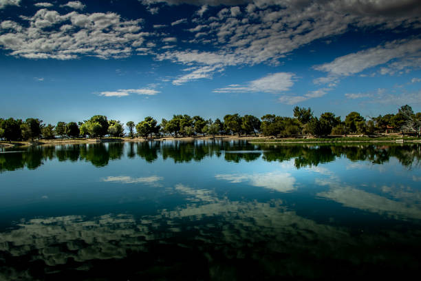 Cloud and tree reflections on the water on a Southern California summer day.