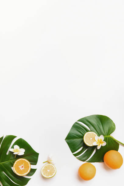 istock Fresh oranges and tropical leaf. Cutted citrus fruit for natural cosmetics. 2159253390