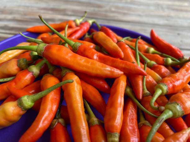 istock Fresh chili peppers (Capsicum frutescens). Known as Bird eye chili pepper 2159255284