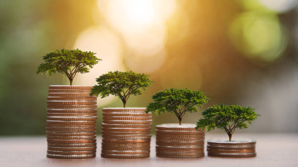 istock Money stack step up on wood table growing growth saving money with green bokeh and sunlight background. Concept financial business investment, Copy space for your text. 2159259158