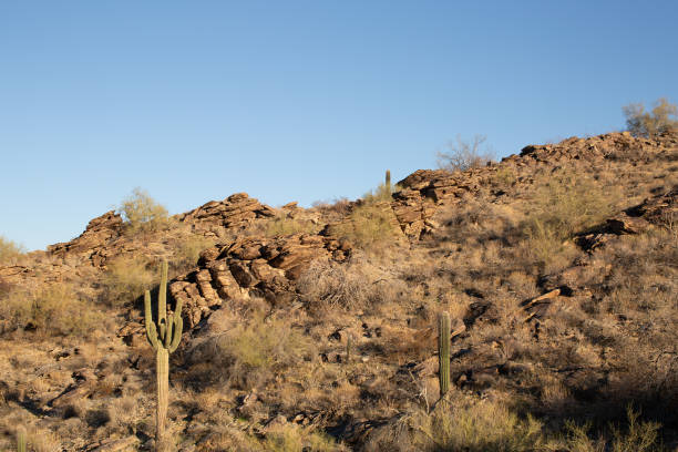 istock South Mountain Reserve in Phoenix, Arizona 2159259839
