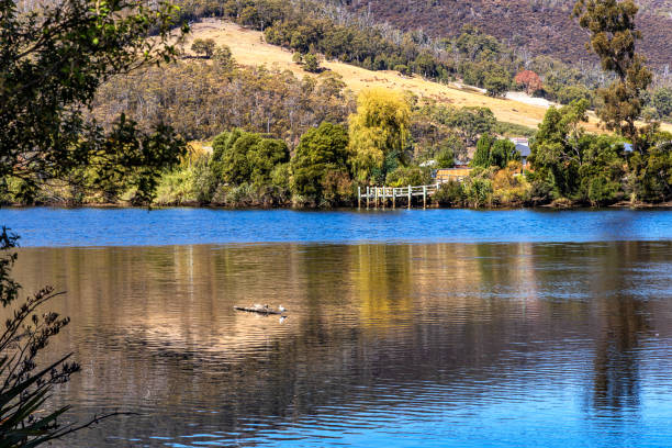 Sunny day view along Huon River with reflections