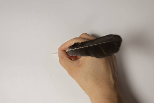 Hand holding quill pen isolated on the white background. High quality photo