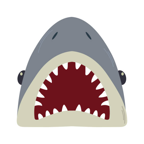 Download Shark, Jaws, Fish. Royalty-Free Vector Graphic - Pixabay