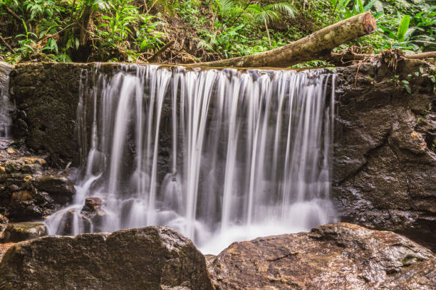 istock Cascade at Floresta da Tijuca - Rio de Janeiro 2159274560