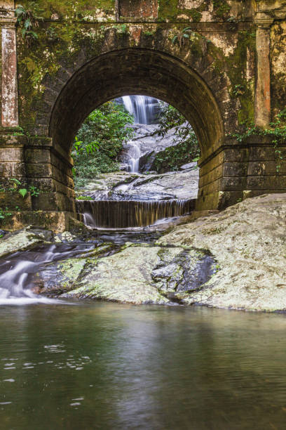 istock Bridge at Floresta da Tijuca - Rio de Janeiro 2159274572