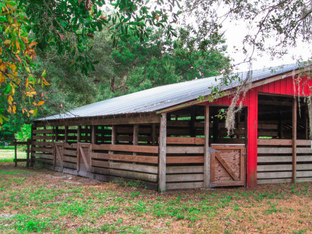istock Red Barn Horse Stable Fenced In With Trees All Around It 2159277172