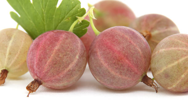 istock Fresh, ripe gooseberries with green leaves against a white background 2159281862