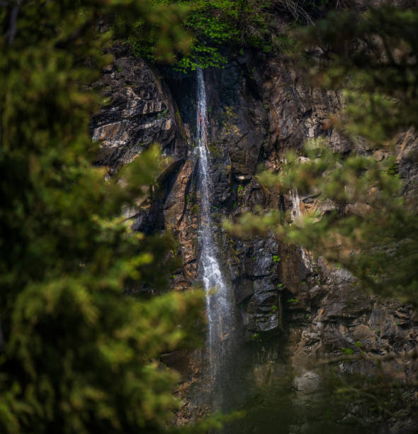 San Juan National Forest
