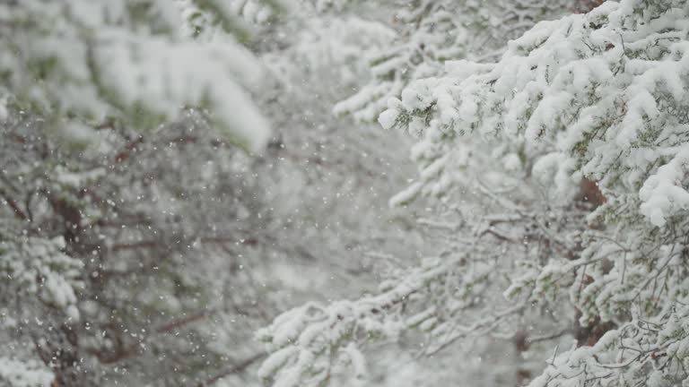 Snow Fall Clips 176,300+ Snow Falling Stock Videos and Royalty-Free Footage - iStock