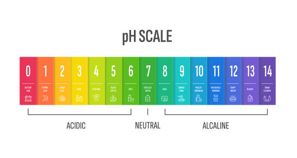 pH scale design. Color indicator chart how acidic, alkaline, basic water pH scale design. Color indicator chart. Values of acidic, alkaline, basic water. pH meter spectrum of solution acidity. Measurement graph for chemistry, science. Best for educational materials paper sizes stock illustrations