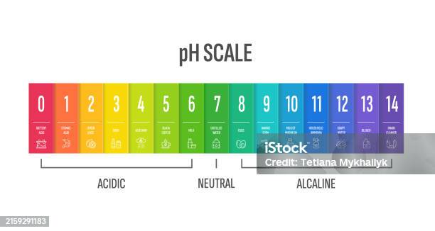 Ph Scale Design Color Indicator Chart How Acidic Alkaline Basic Water ...