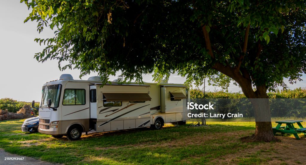 Tree On Rv Rv Camping Under Tree Stock Photo - Download Image Now - Adventure ...