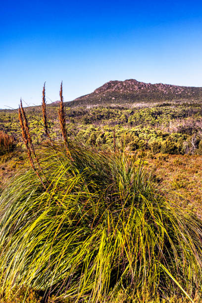 istock Hartz Mountain National Park, Tasmania, Australia 2159296638