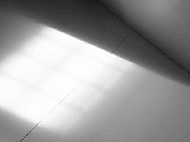 Background Shadow Abstract Leave Overlay Wall Floor Light Effect White Plant Sunlight Backdrop Mockup Minimal Spring Summer Nature Grey blur Photography Scene Template Poster Card Frame Product.