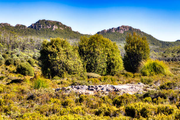 istock Hartz Mountain National Park, Tasmania, Australia 2159296826