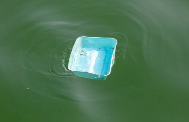 istock Garbage floats on the water in the sea 2159299164