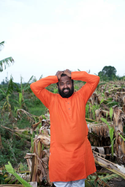 Old age Indian man portrait at farm field.