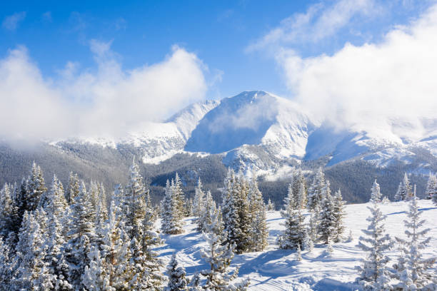 A view of a winter landscape with snow-capped mountains and pine trees on a sunny day