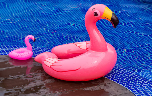 istock Circle of flamingos in the pool. Selective focus. 2159309240