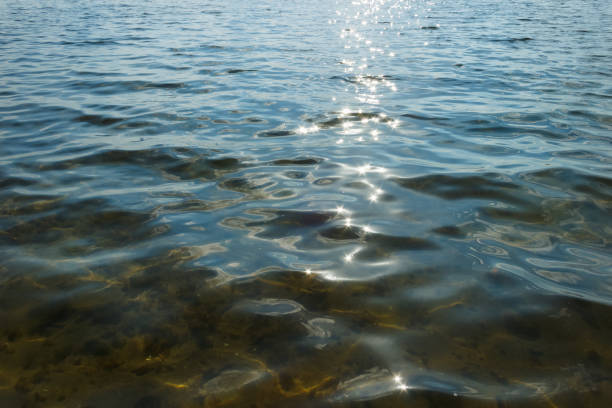 Waves and glare on the surface of the water. Shallow. Lake. Background
