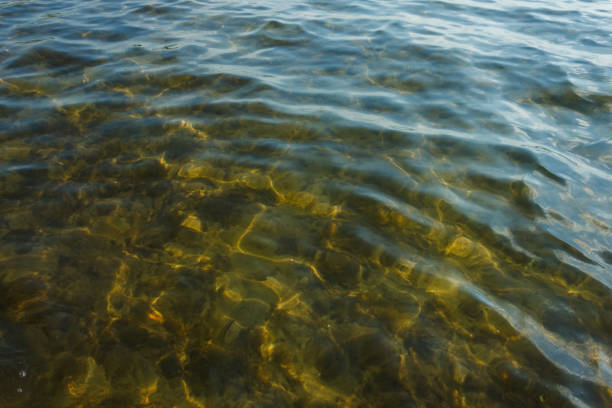 Photograph blue water surface with small waves