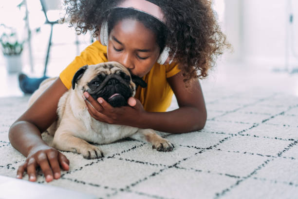 istock Girl and a dog at home. 2159312844