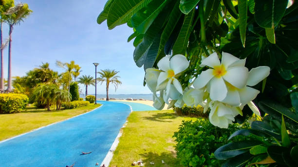 istock Pathway to the Sea in a Beautiful Garden 2159318979