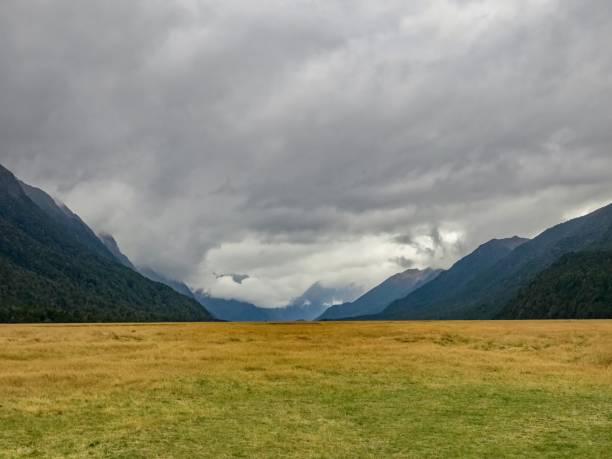 istock Pasture on a Moody Day 2159321298