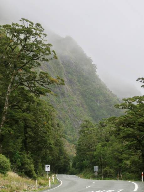 istock Atmospheric Road Trip in New Zealand 2159321362
