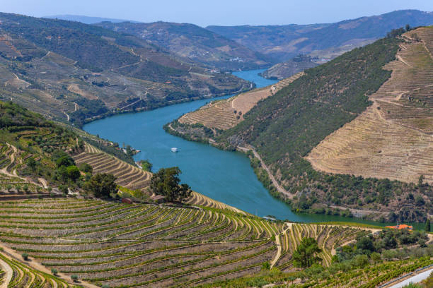 istock douro river valley near Pinhao 2159324533