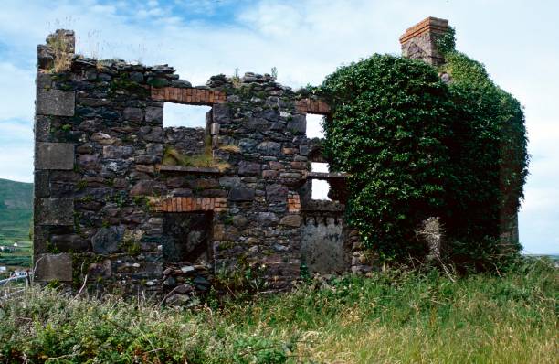 Abandoned cottage with Ivy growing\n\nDingle Peninsula, County Kerry; Ireland        July