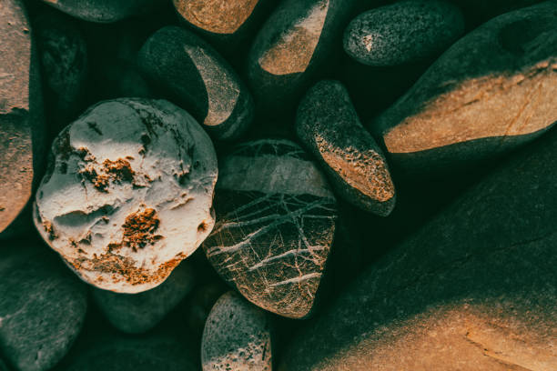 A rock with a white spot on it is surrounded by other rocks. The rocks are all different sizes and shapes, and they are all piled on top of each other. The scene has a natural, rugged feel to it