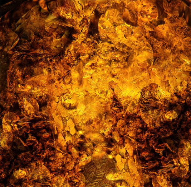 istock Amber closeup: shiny, baltic nature texture. Detailed amber macro texture showcases inclusions. 2159332400