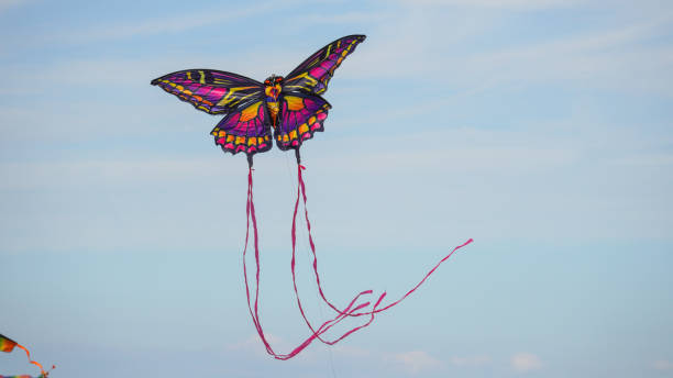 istock Beautiful kite flying high in the clouds fluttering its wings 2159340089