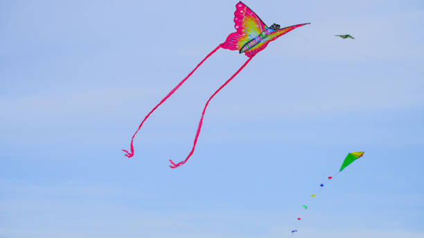 istock Beautiful kite flying high in the clouds fluttering its wings 2159341114