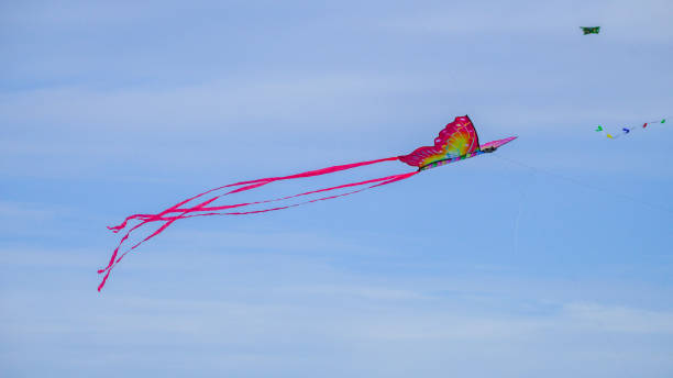 istock Beautiful kite flying high in the clouds fluttering its wings 2159341204
