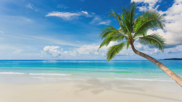 istock Beautiful tropical beach with blue sky and abstract texture background 2159344170