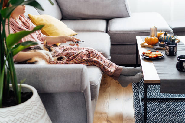 istock Woman with plaid selecting movie with remote controller and stroking multicolored cat pet on the sofa. Movie night party at home with sweets and hot drinks. Cozy autumn holidays. Selective focus. 2159348835