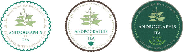 Andrographis Tea 10+ Andrographis Paniculata Stock Illustrations, Royalty-Free Vector ...