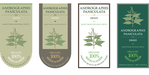 Andrographis Tea Set Of Vector Label With Andrographis Paniculata Tea Stock Illustration ...
