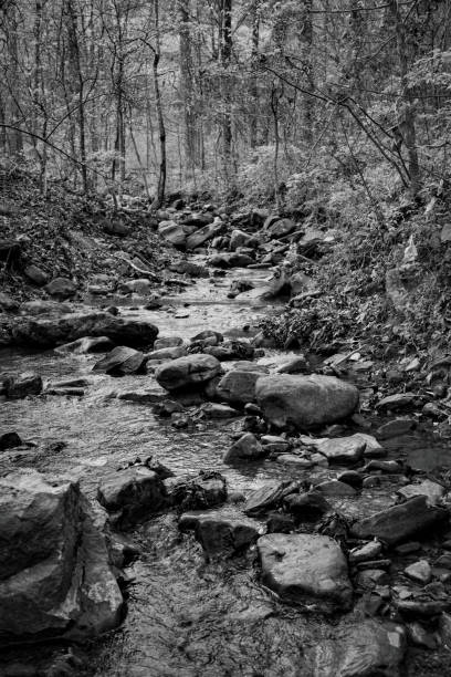 istock Mountain stream or creek cascading rocks in peaceful forest scene on Racoon Mountain, Tennessee in black and white or monochrome 2159349592