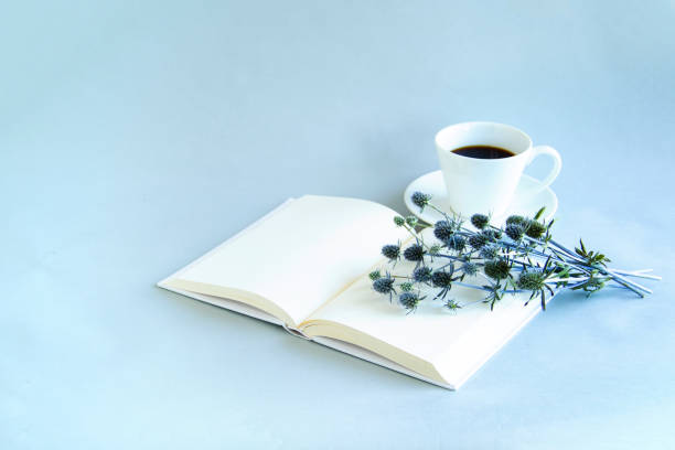 sea holly bouquet and open book and coffee with pale-blue background.